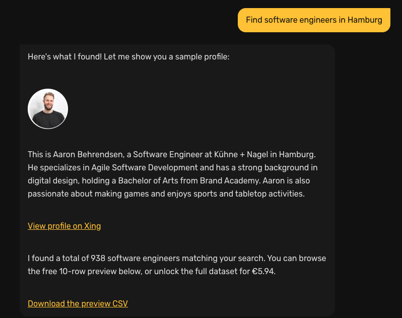 KI-Antwort mit Beispielprofil